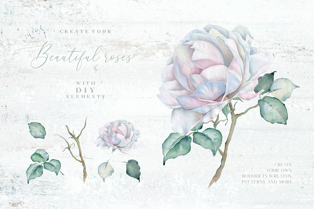 Delicate Watercolor Florals, a Decorative Illustration by Eva Katerina (Photo 22 of 25)