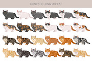 Domestic longhair cat, an Animal Illustration by pet design shop (Thumbnail 4 of 6)