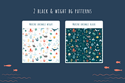 Marine Animals—2 Seamless Patterns, an Illustration by ApollinariaManko (Thumbnail 4 of 5)