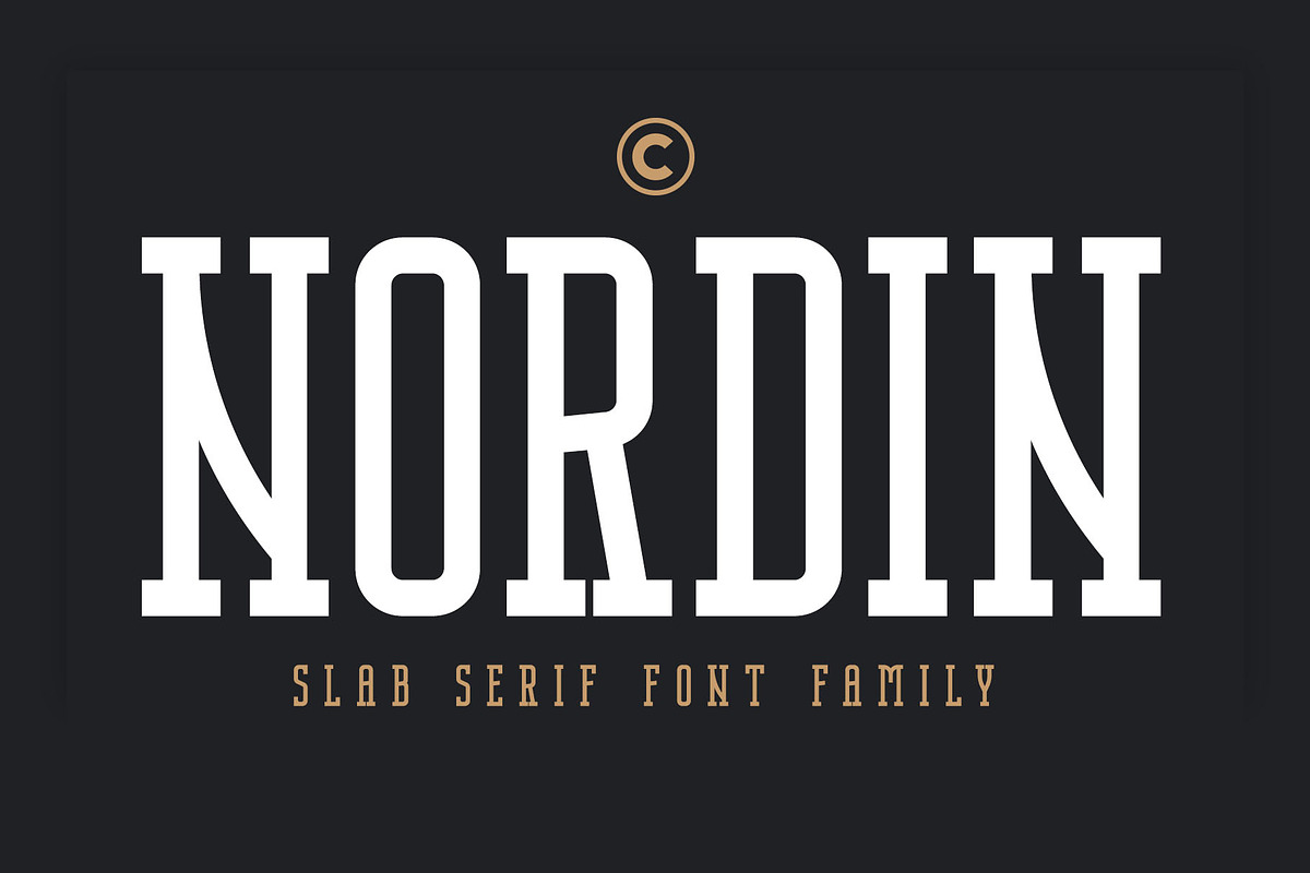 Nordin Slab - Condensed Slab Serif, a Slab Serif Font by Craft Supply Co. (Photo 15 of 16)
