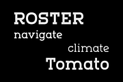 Marmo – Font Family, a Slab Serif Font by Stefano Giliberti (Thumbnail 2 of 10)