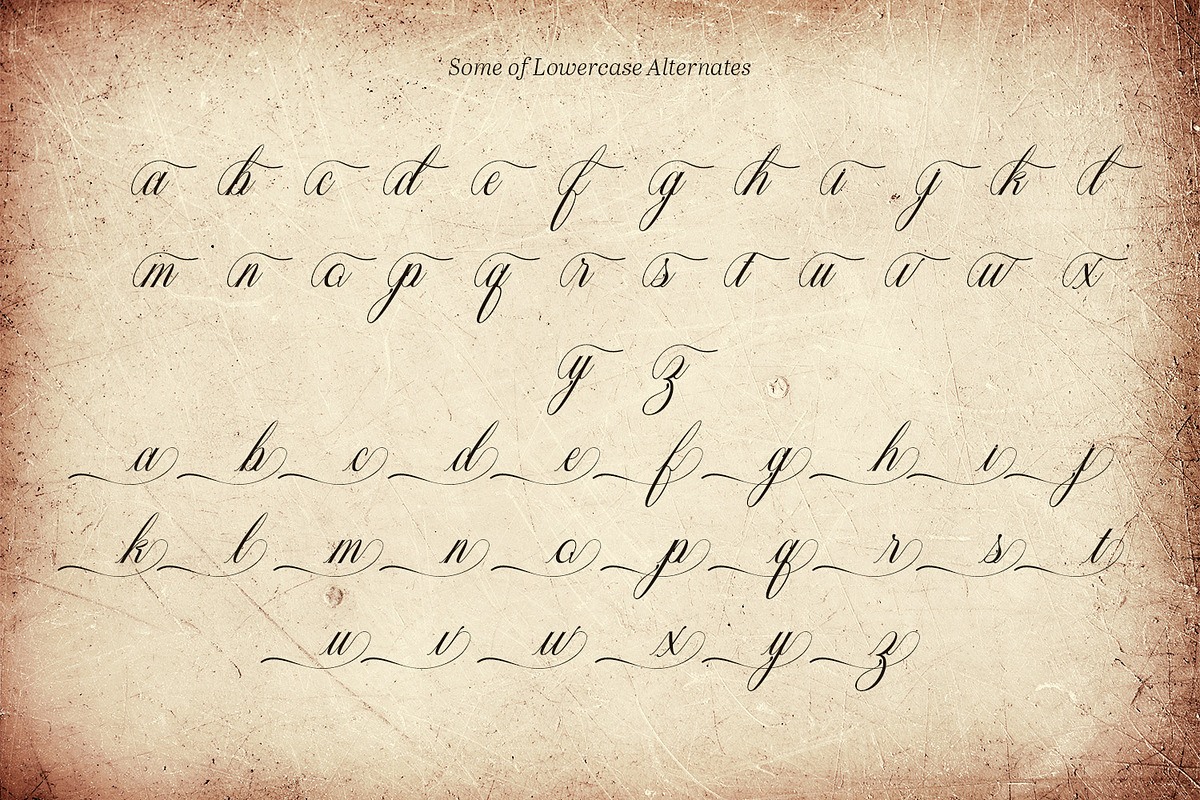 Aventalia Script - Elegant Font, a Script Font by Variatype (Photo 10 of 10)
