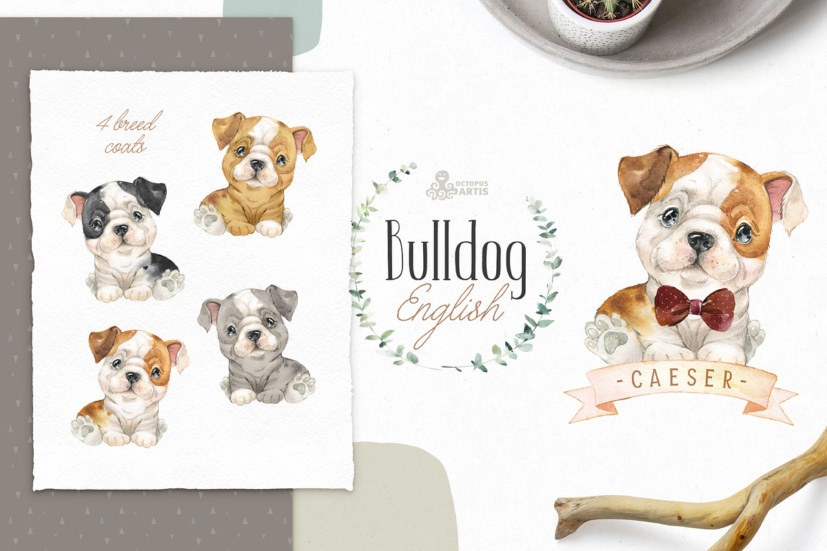 Puppy Paws 2. Watercolor Collection, an Illustration by OctopusArtis (Photo 2 of 11)