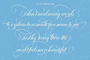 Elemental Calligraphy, a Script Font by IM Studio (Thumbnail 11 of 12)