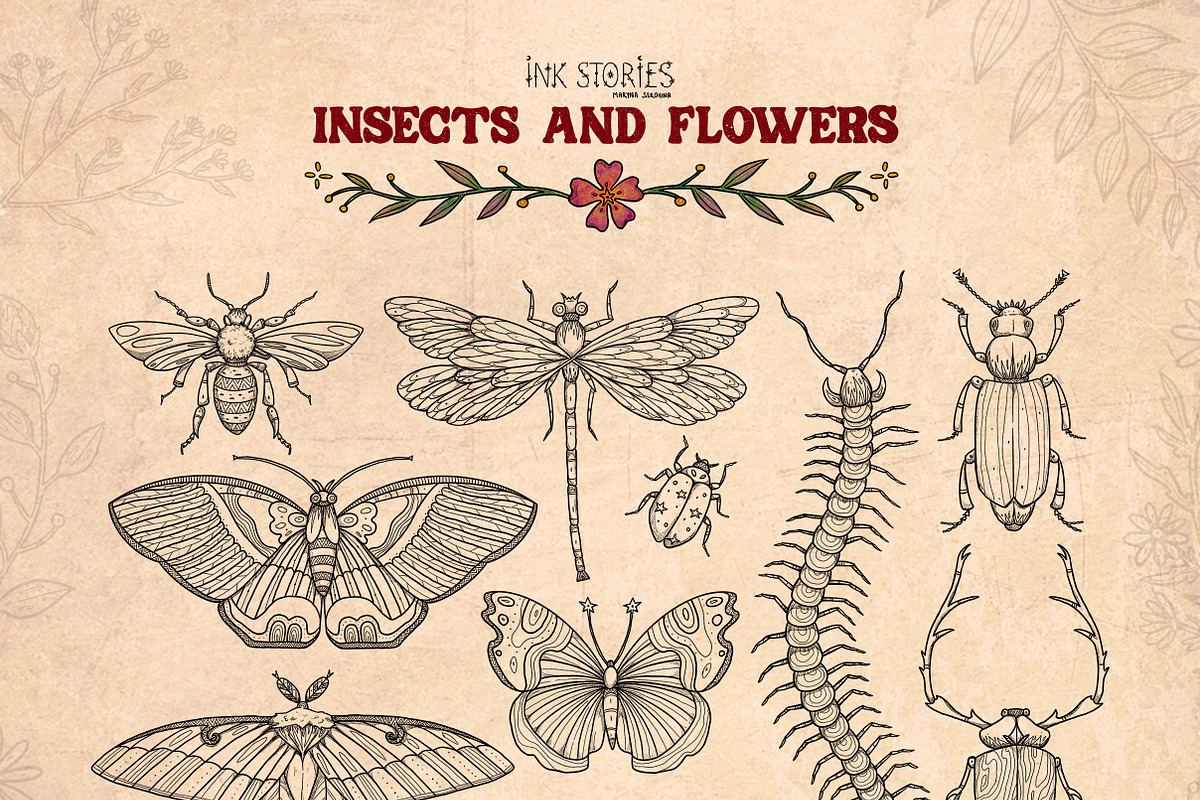 Insects and Flowers, an Animal Illustration by Ink Stories (Photo 3 of 15)