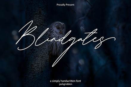 Blindgates