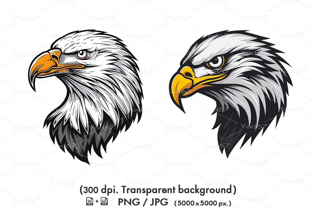 Majestic bald eagle head. Bieds., an Animal Illustration by yod67