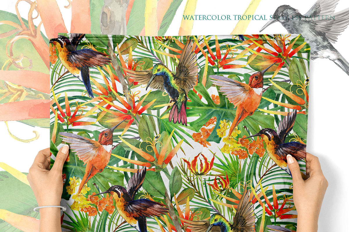 Watercolor Tropical plant & Bird, an Object Graphic by FineArt (Photo 21 of 22)