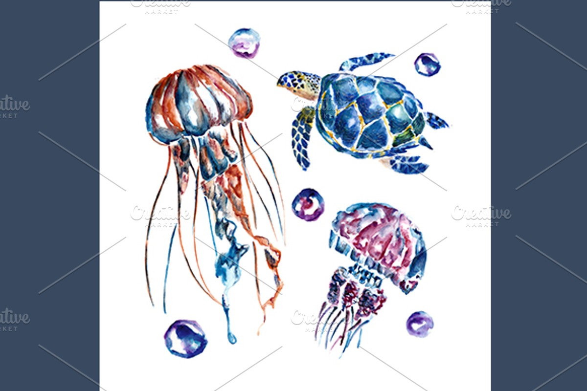 Patterns and set with sea life