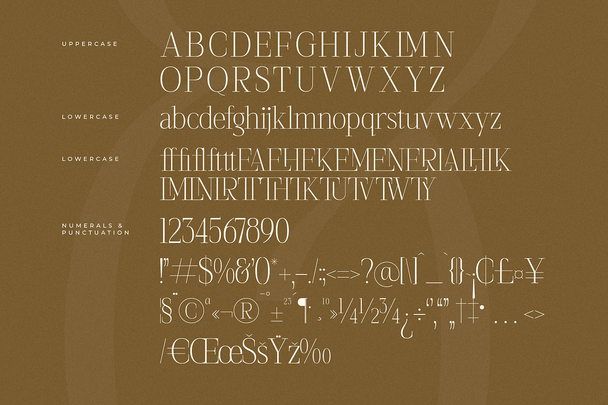 Seraphine Modern Font Serif, a Serif Font by Letterena Studios (Photo 13 of 15)