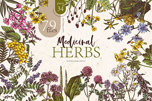 Hand Drawn Medicinal Herbs