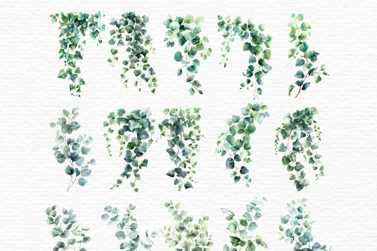 Ivy vines clipart, Greenery, a Decorative Illustration by Invite to Clipart (Photo 3 of 5)