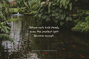 Botanicale | Handwritten Font, a Handwritten Font by type peace (Thumbnail 16 of 18)