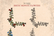 Birth Month Flowers Handcrafted, a Decorative Illustration by Ink Stories (Thumbnail 11 of 15)