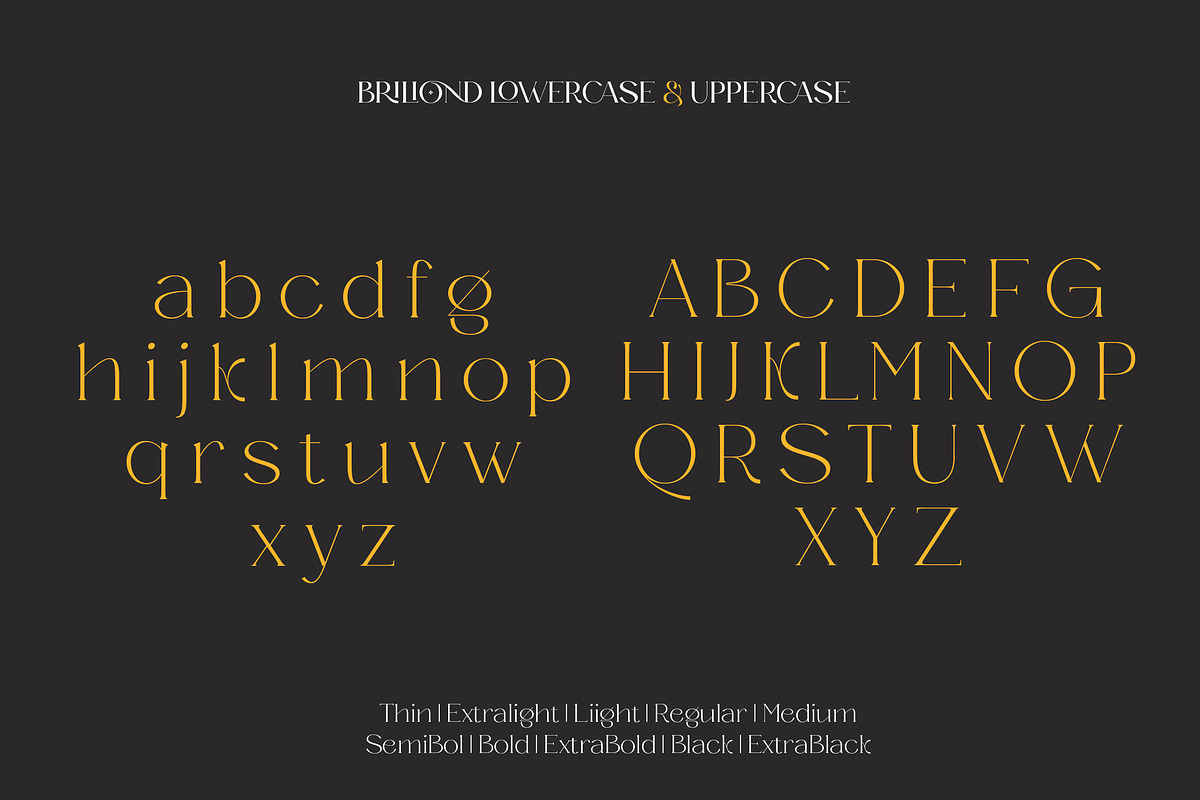 Briliond - Modern Serif, a Serif Font by Ardyanatypes (Photo 10 of 12)