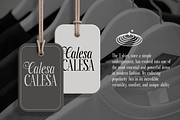 Paradise Loves - Elegant Serif Font, a Serif Font by RagamKata (Thumbnail 4 of 10)