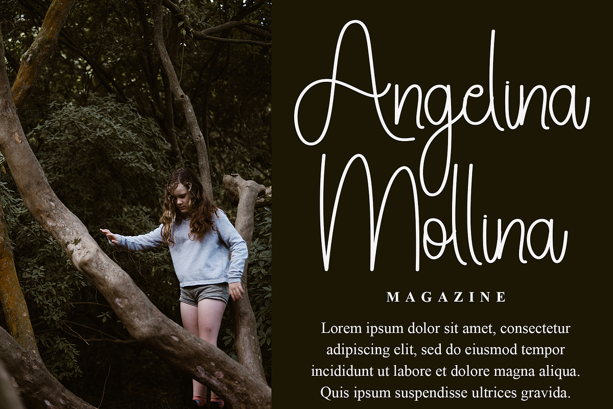 Signature Design, a Handwritten Font by InermediaSTUDIO (Photo 7 of 8)
