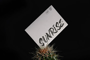 Kirens - Modern Handbrush Font, a Handwritten Font by limitype (Thumbnail 4 of 10)