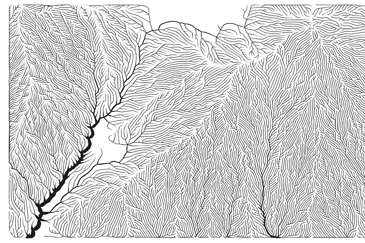 Growth - 50 Backgrounds, a Texture Graphic by GarryKillian (Photo 4 of 51)