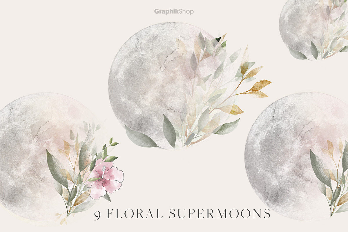 SPIRITUAL, an Animal Illustration by Chus Moreno Studio (Photo 9 of 17)