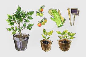 Garden Watercolor Sketches Icons