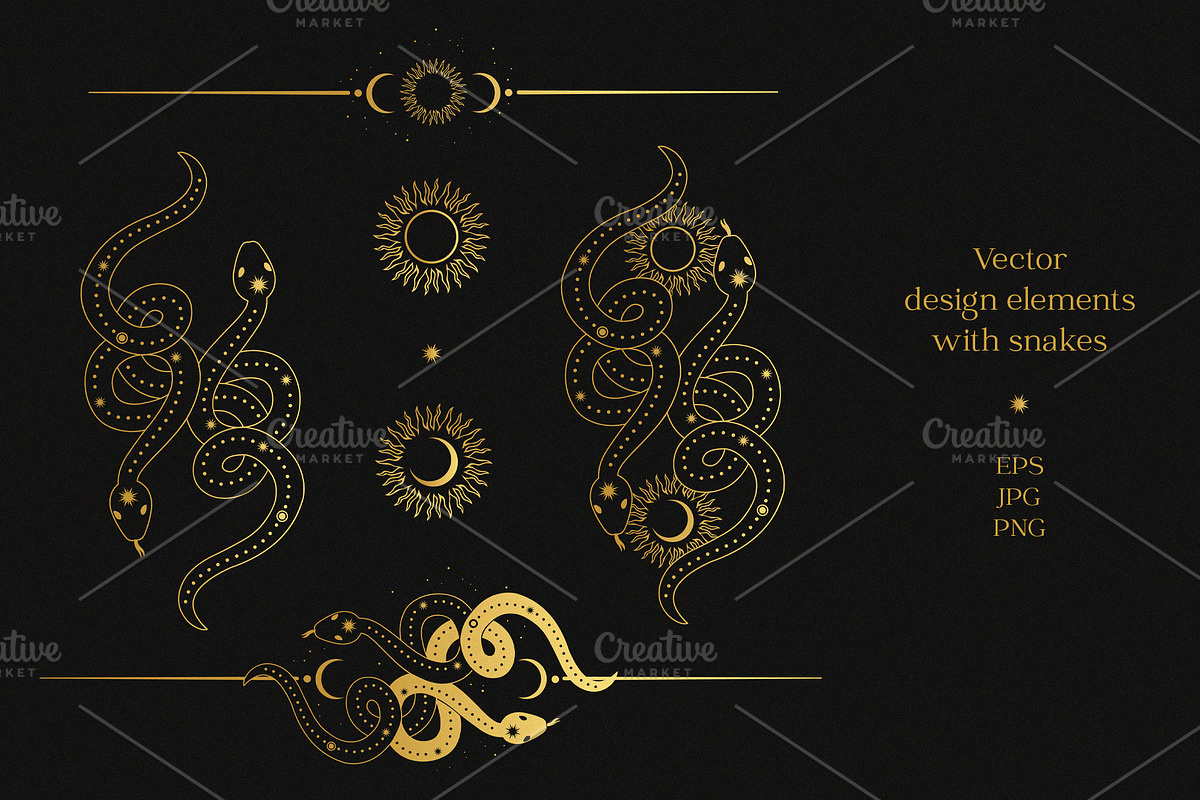 Vector design elements with snakes, an Illustration by Nadia Murash