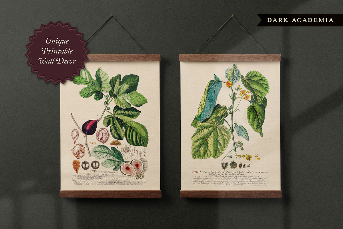 BUNDLE: 600 Academia Ephemera, an Object Graphic by The Object Atlas (Photo 14 of 16)