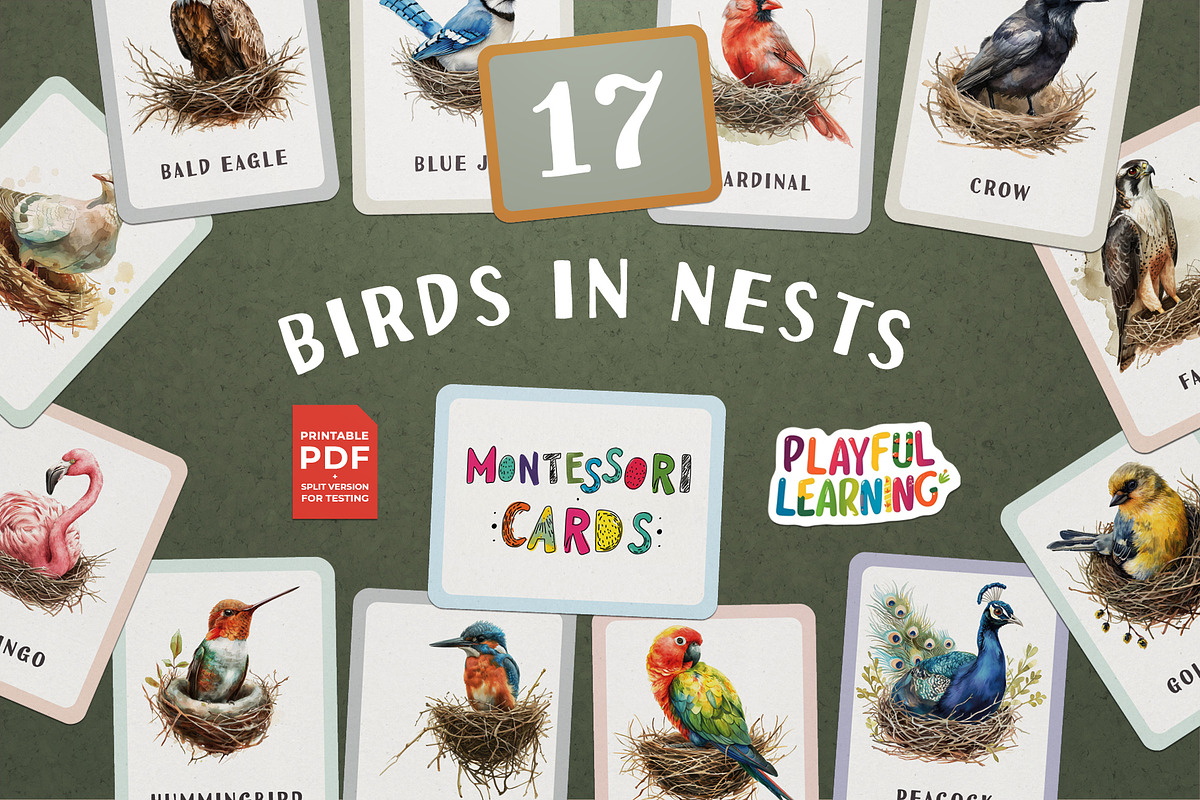 Birds and Their Nests Flash Cards, an Education Illustration by Pix Cafe (Photo 1 of 10)