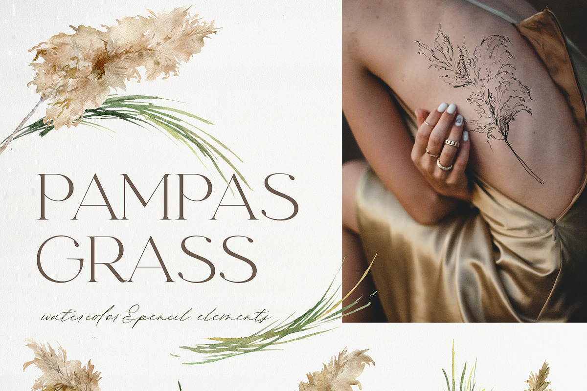 Pampas grass watercolor flowers boho, a Decorative Illustration by Yuliya Derbisheva (Photo 7 of 12)