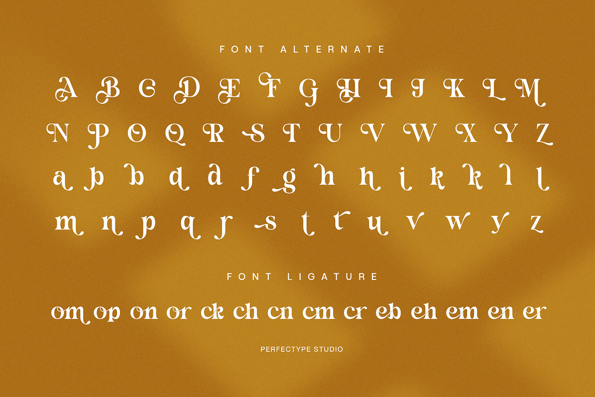Domick – Elegant Serif Typeface, a Serif Font by Perfectype (Photo 8 of 8)