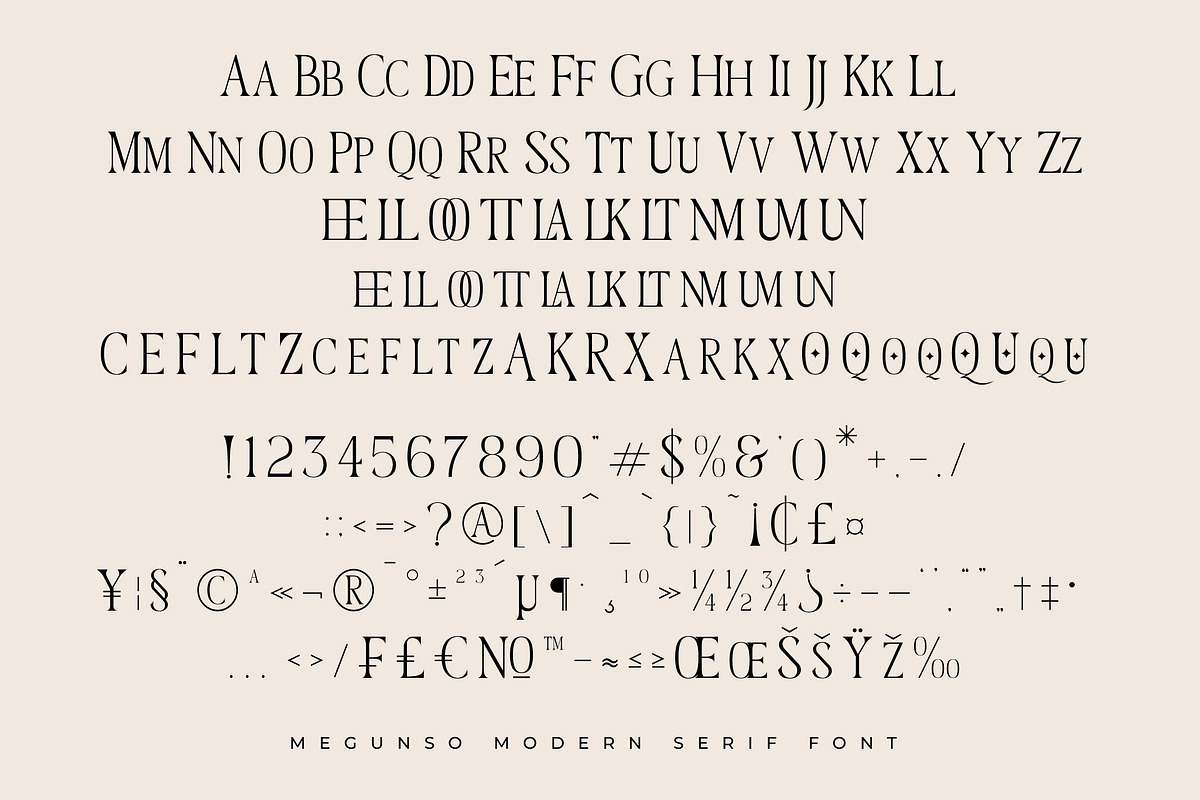 Megunso - Modern Serif Font, a Serif Font by AmorfaType (Photo 10 of 10)