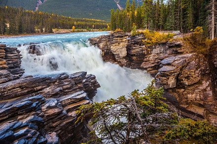 Athabasca waterfall in the forests, a Nature Photo by kavram
