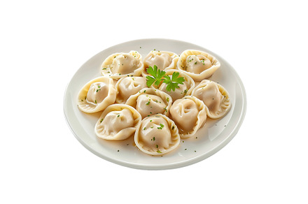 Delicious dumplings on white plate, a Food & Drink Photo by Ylivdesign
