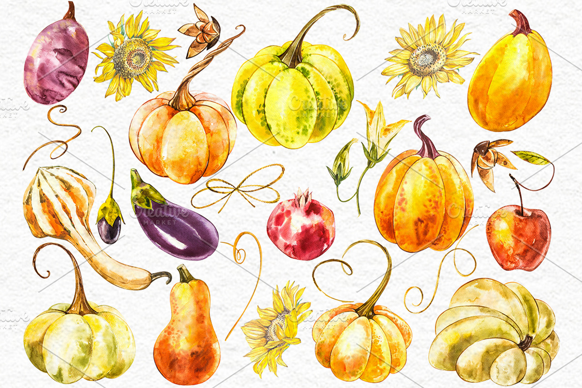 Pumpkins watercolor collection, a Food Illustration by Ann Astro (Photo 5 of 17)