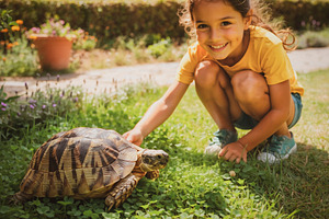 Child touching tortoise at home yard, a Person Photo by DanFLCreativo