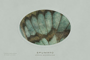 Sfumato Organic Textured Backgrounds, a Background Graphic by alonahaidash (Thumbnail 12 of 15)