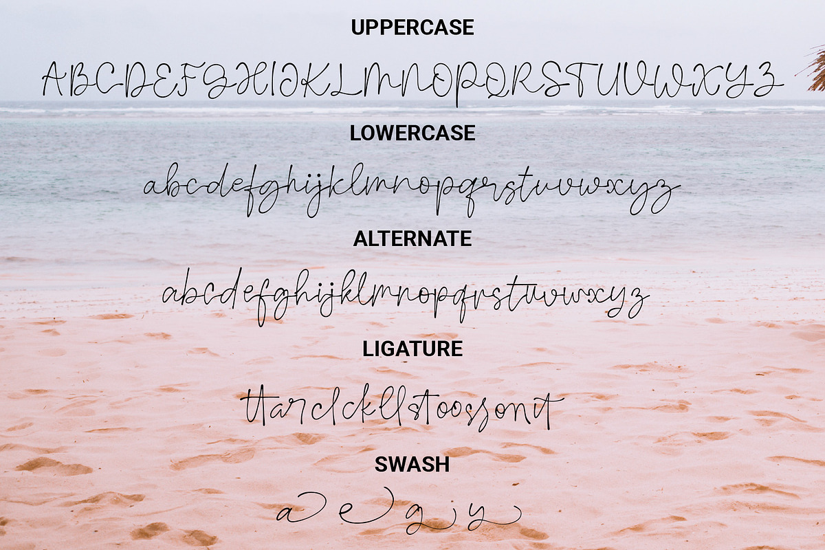 Montok, a Script Font by WisnoetypeCo (Photo 4 of 5)