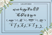 Austina Script, a Script Font by Zane Studio (Thumbnail 10 of 11)