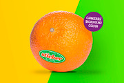 Orange Fruit Sticker/Label Mock Up, a Product Mockup by Little Type Factory (Thumbnail 4 of 7)