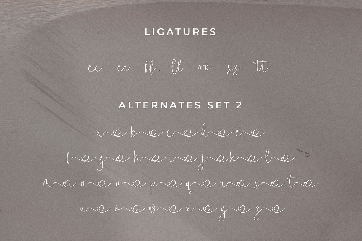 Clanetta, a Script Font by Integritype Studio (Photo 11 of 15)