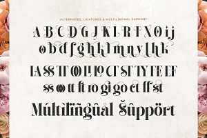 Alissha Bright - Modern Serif