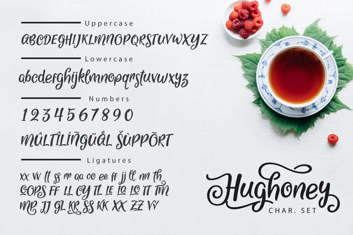 Hughoney Script preview 4