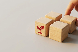 Wooden Blocks with Sprout Icon, a Business Photo by thepslr
