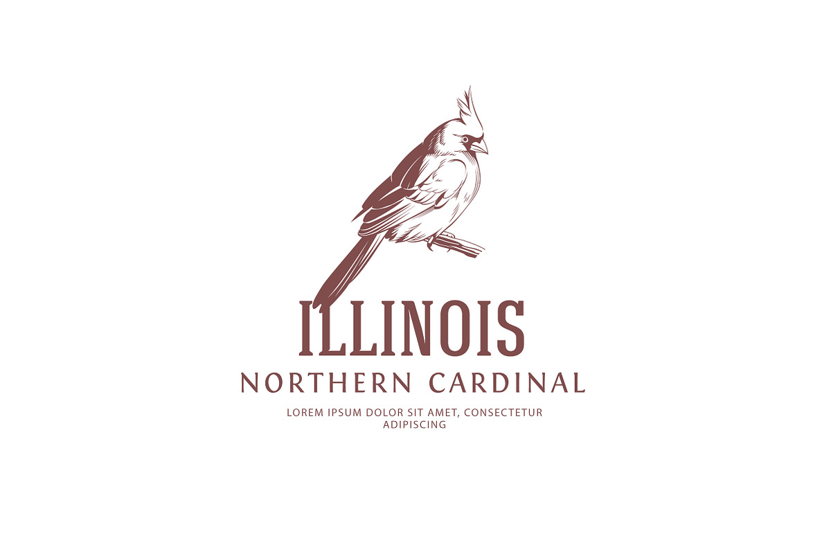 Birds of America - Cardinal, a Branding & Logo Template by vatesdesign