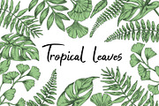 Tropical leaves.  Sketch style, a Seasonal Illustration by made by Tanya (Thumbnail 1 of 4)
