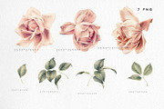 Watercolor Floral Bundle, a Texture Illustration by ollalya (Thumbnail 85 of 112)