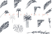 Roar and Palms, an Object Graphic by Anastasy_helter (Thumbnail 3 of 9)
