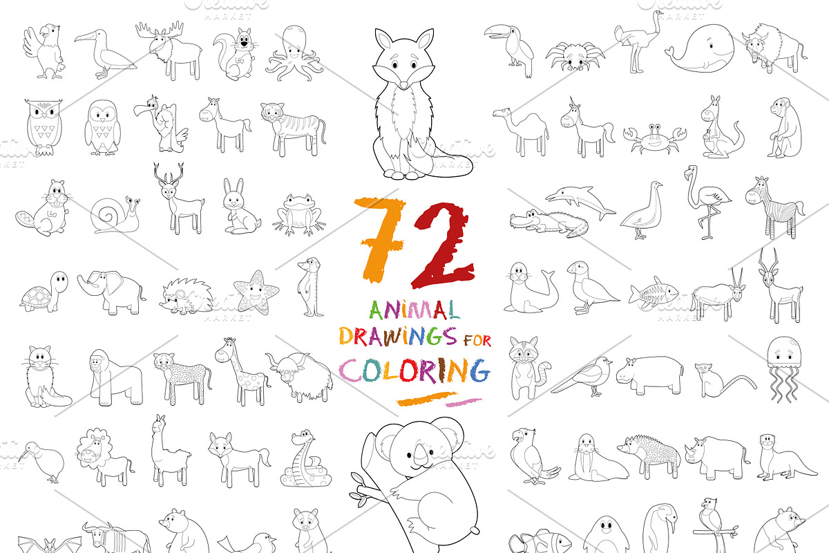 72x Animal Drawings for Coloring, an Animal Illustration by asantosg (Photo 2 of 6)