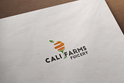 Orange Logo Template, a Branding & Logo Template by Raj Shop (Thumbnail 2 of 6)