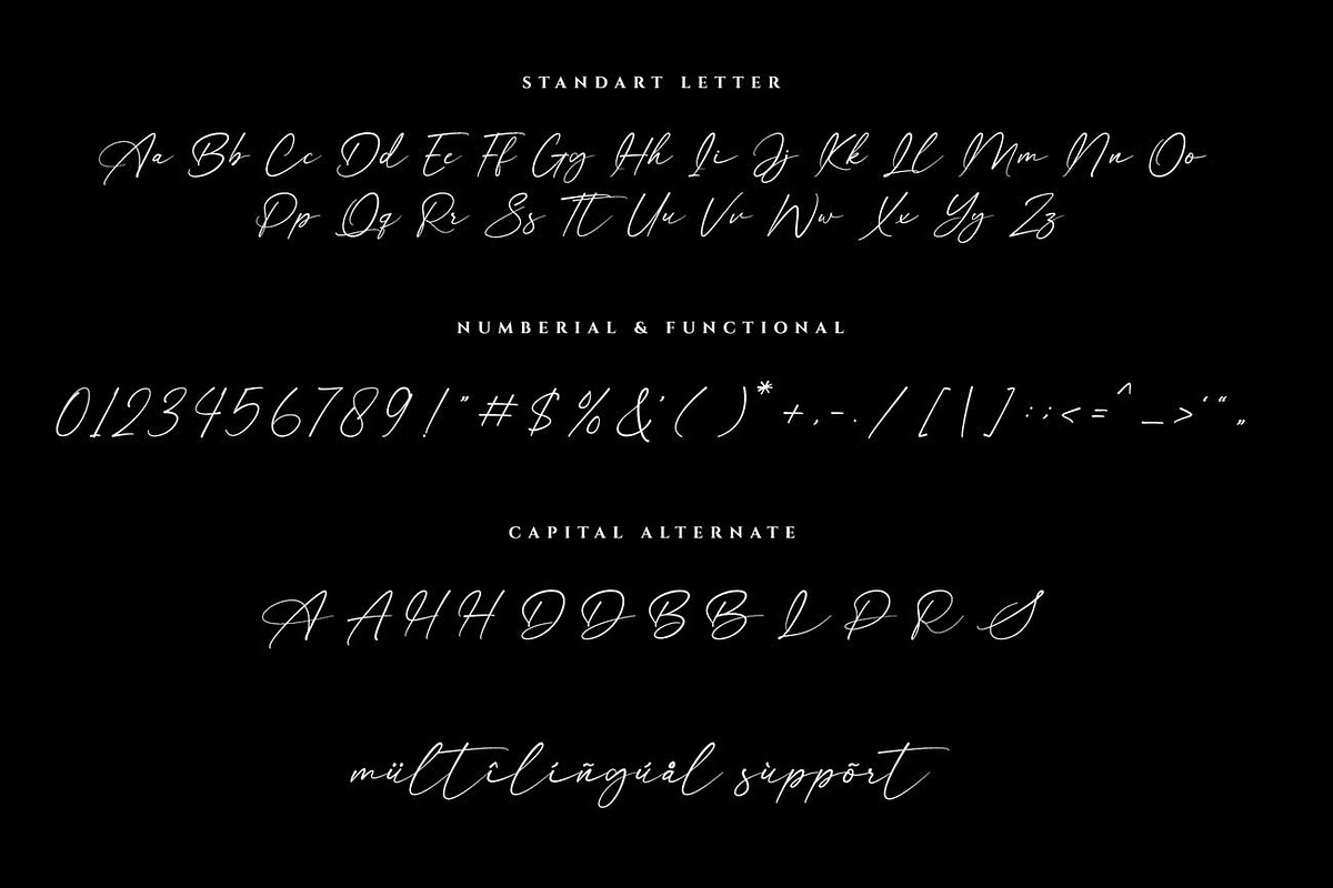 Anisther - Elegant Signature Font, a Font by RantautypeStudio (Photo 11 of 13)